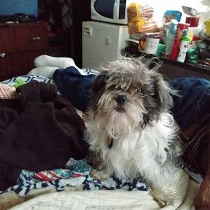 Meet your Posher, Taleesha